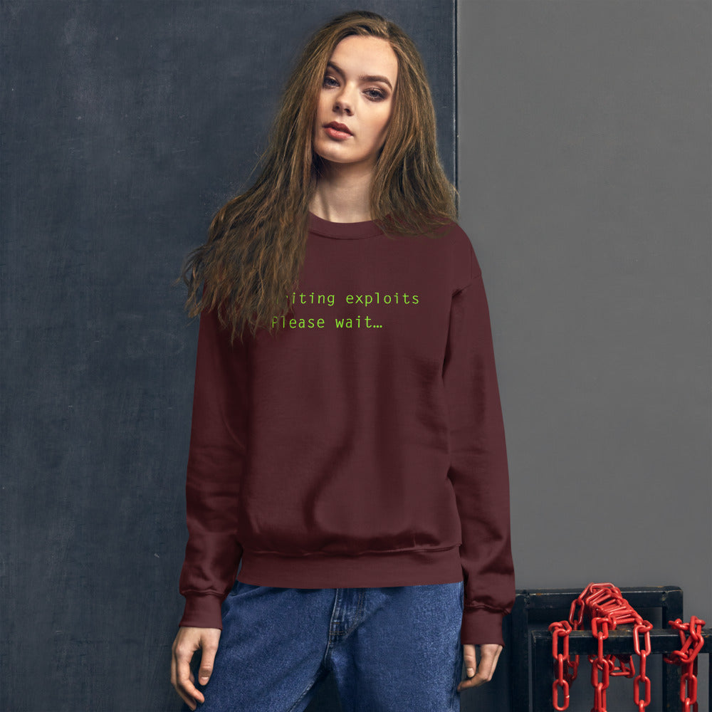 Writing exploits Please wait… - Unisex Sweatshirt by DarkByteGear