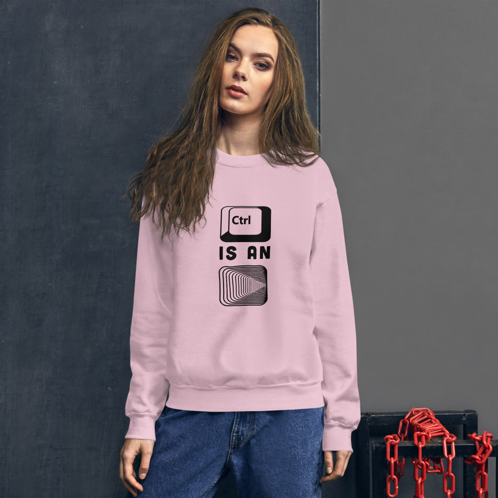 Control is an illusion - Unisex Sweatshirt (black text) by DarkByteGear
