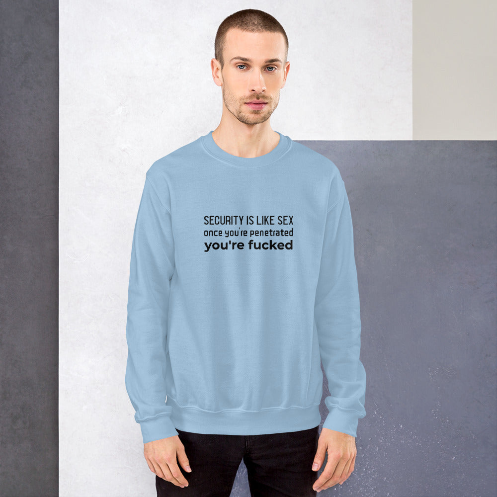 Security is like sex, once you're penetrated, you're fucked - Unisex Sweatshirt (black text) by DarkByteGear
