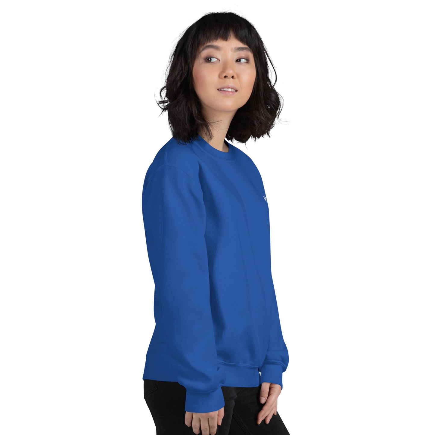 Cyber Security Blue Team V14 - Unisex Sweatshirt ( Back Print ) by DarkByteGear