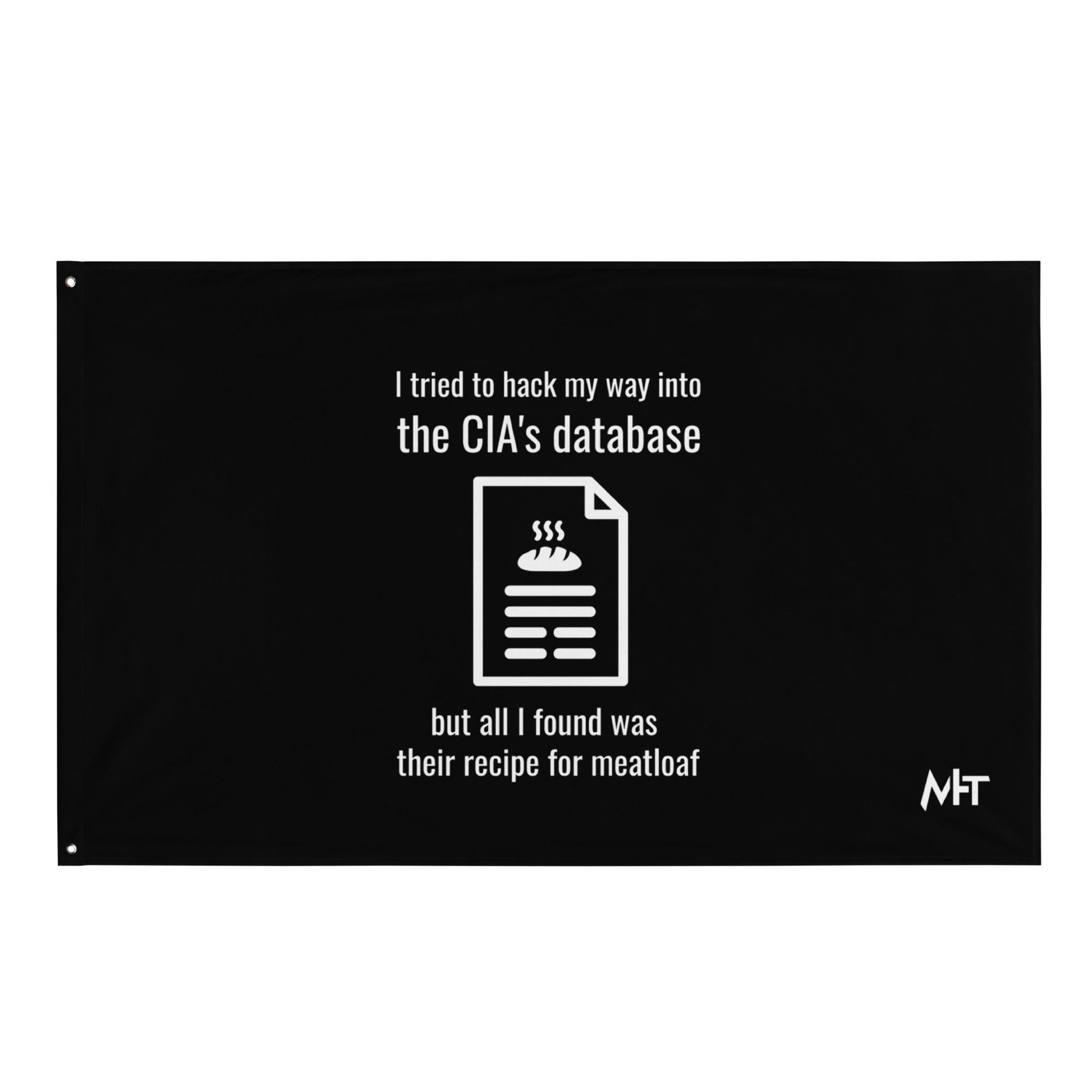 I Tried to Hack my Way into CIA Database - Flag by DarkByteGear