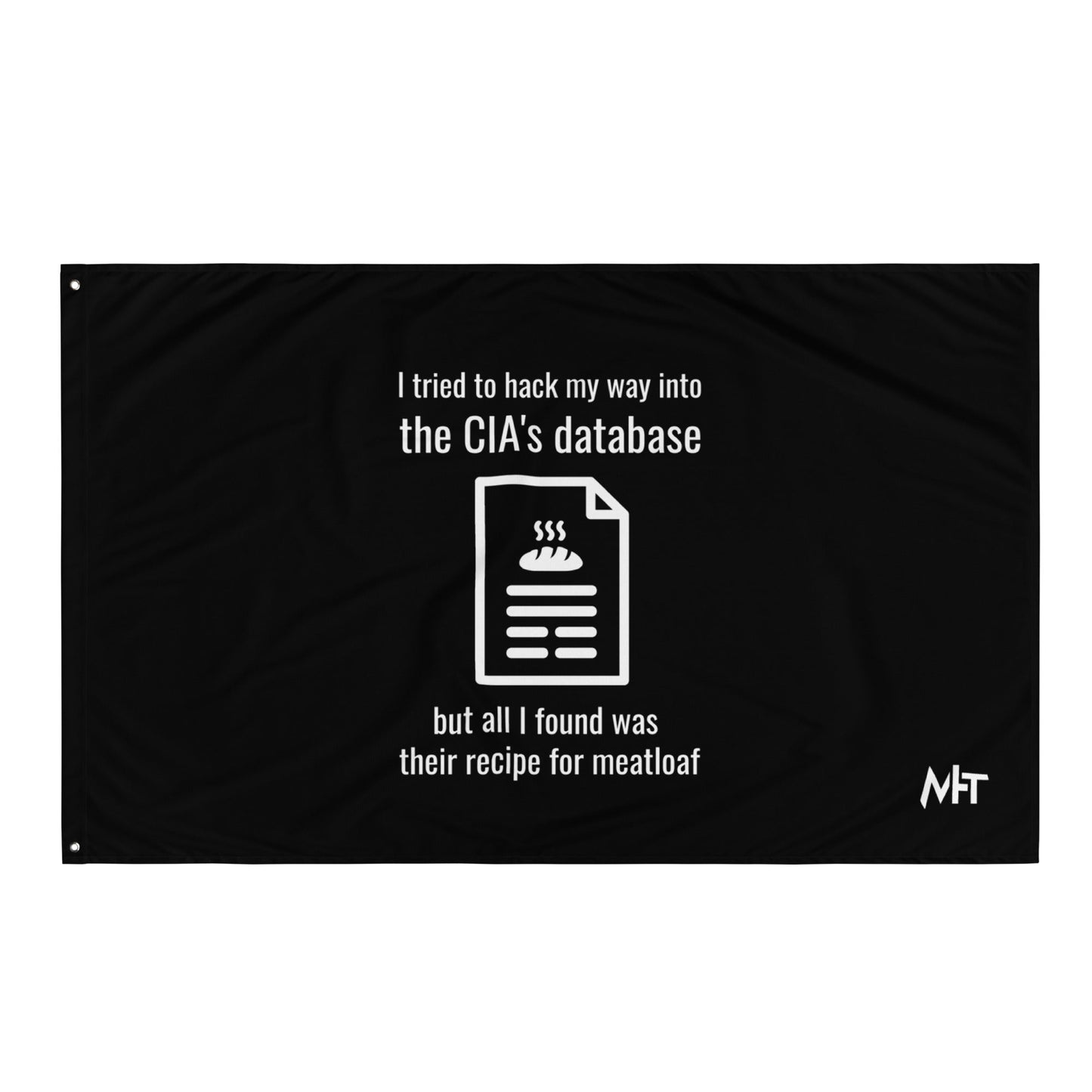 I Tried to Hack my Way into CIA Database - Flag by DarkByteGear