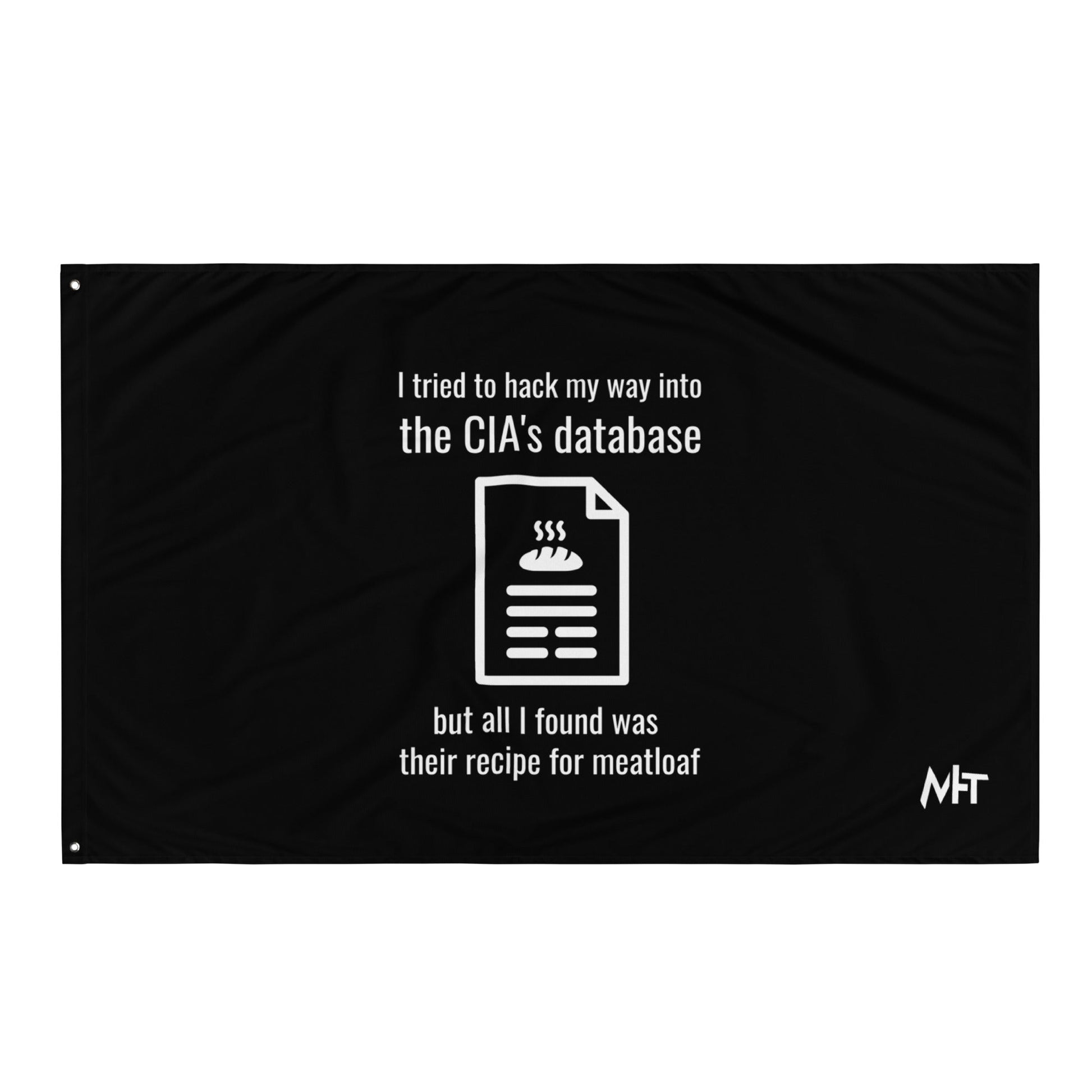 I Tried to Hack my Way into CIA Database - Flag by DarkByteGear