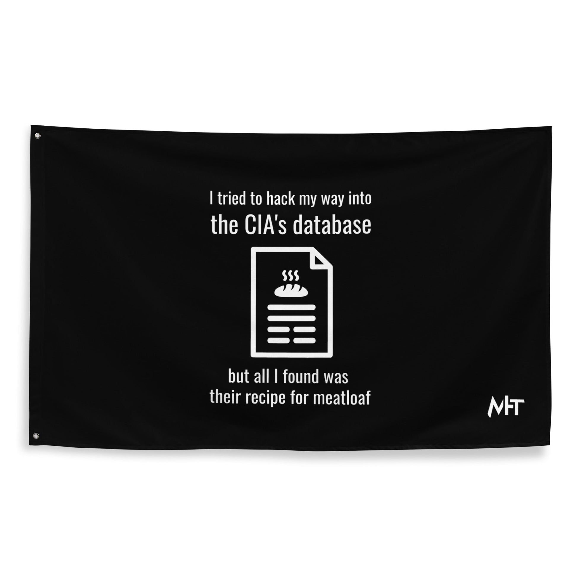 I Tried to Hack my Way into CIA Database - Flag by DarkByteGear