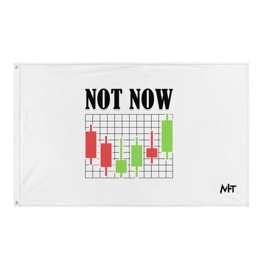 Not Now in Dark Text - Flag by DarkByteGear