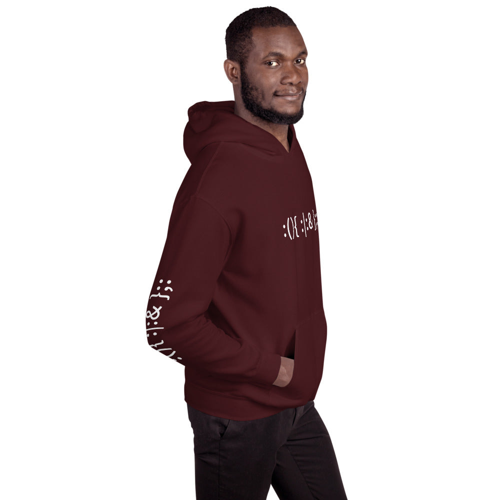 Linux Hackers - Bash Fork Bomb - Unisex Hoodie by DarkByteGear