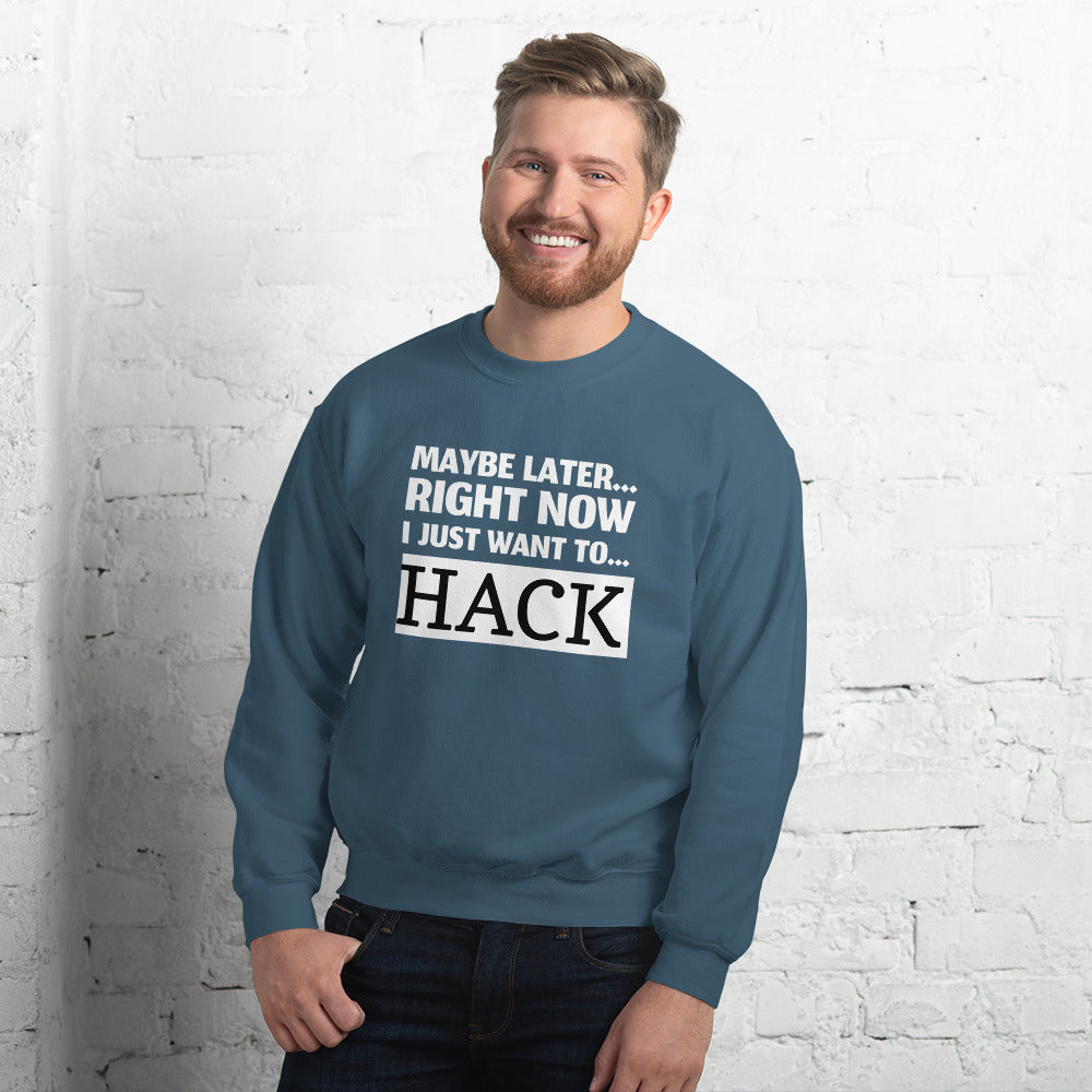 Maybe later... right now I just want to... hack - Unisex Sweatshirt by DarkByteGear