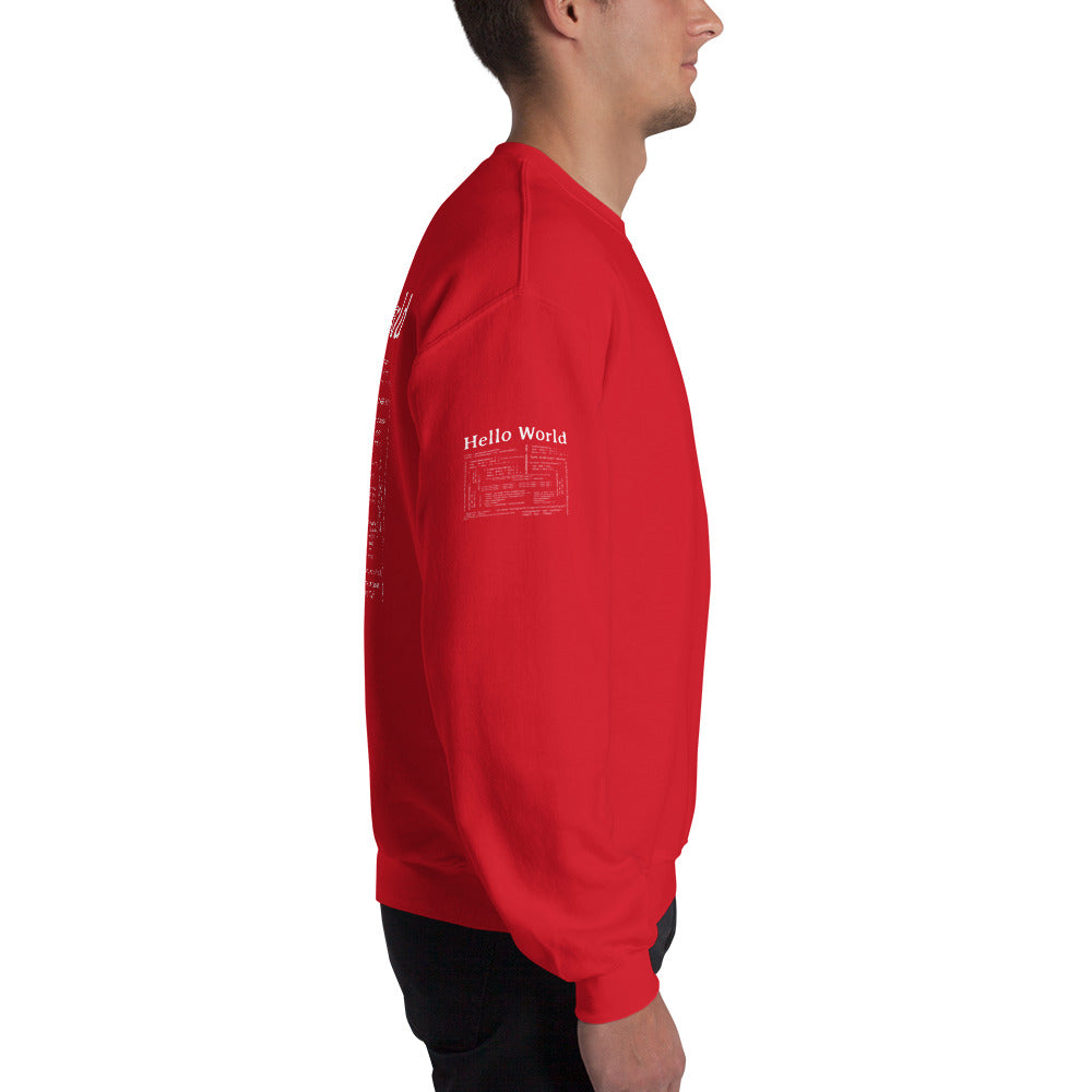 Hello world - Unisex Sweatshirt (back print) by DarkByteGear