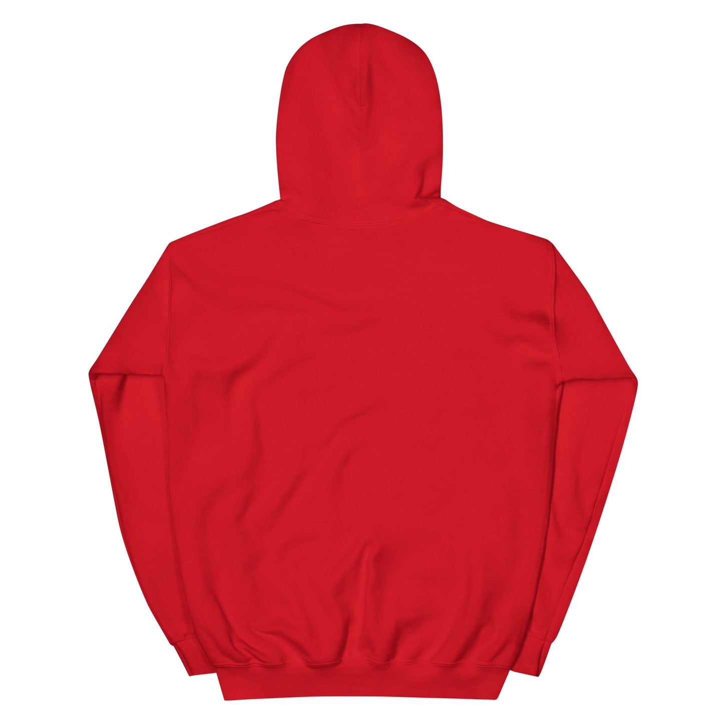 Hacker v.1 - Unisex Hoodie by DarkByteGear