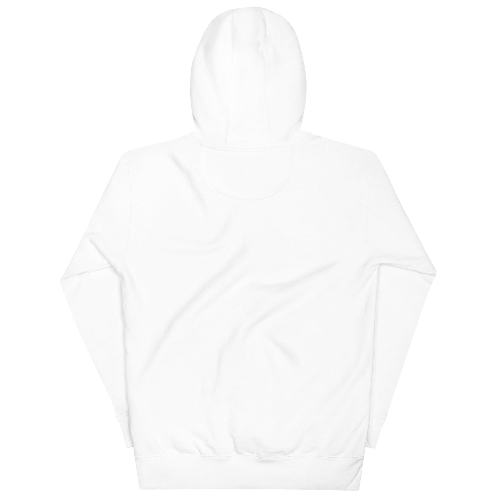When I ask for directions, please don't use word like 'East' - Unisex Hoodie by DarkByteGear